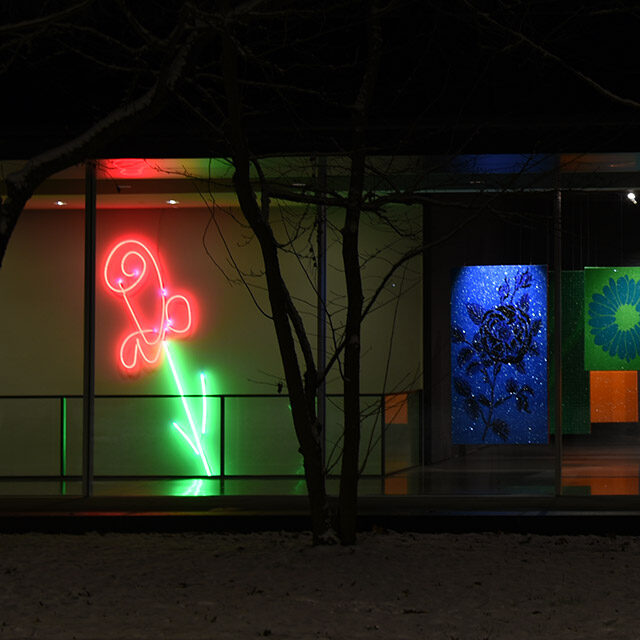 rosalie: Kristallpark – aus hängenden Gärten, Rauminstallation, und Neon-Rose, im Neubau des Richard Wagner Museums 2020